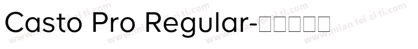 Casto Pro Regular字体转换